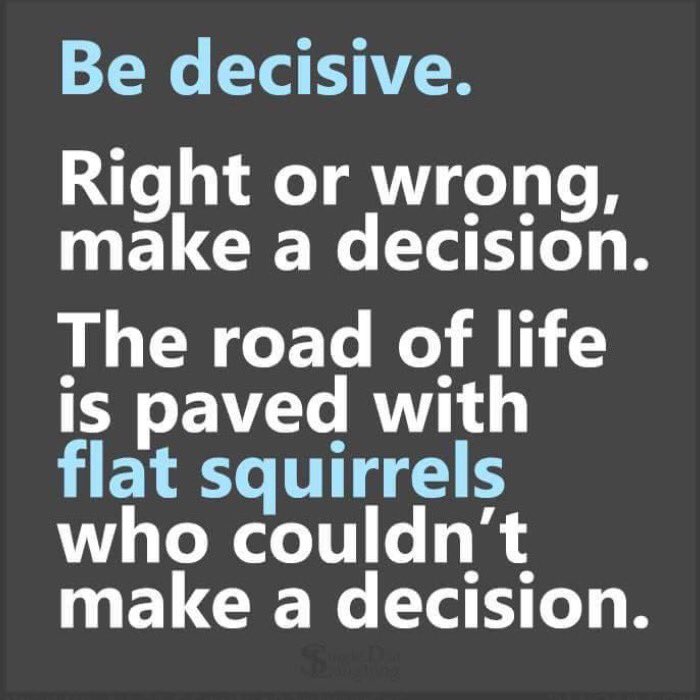 fancynancy02's tweet image. #dontbeasquirrel