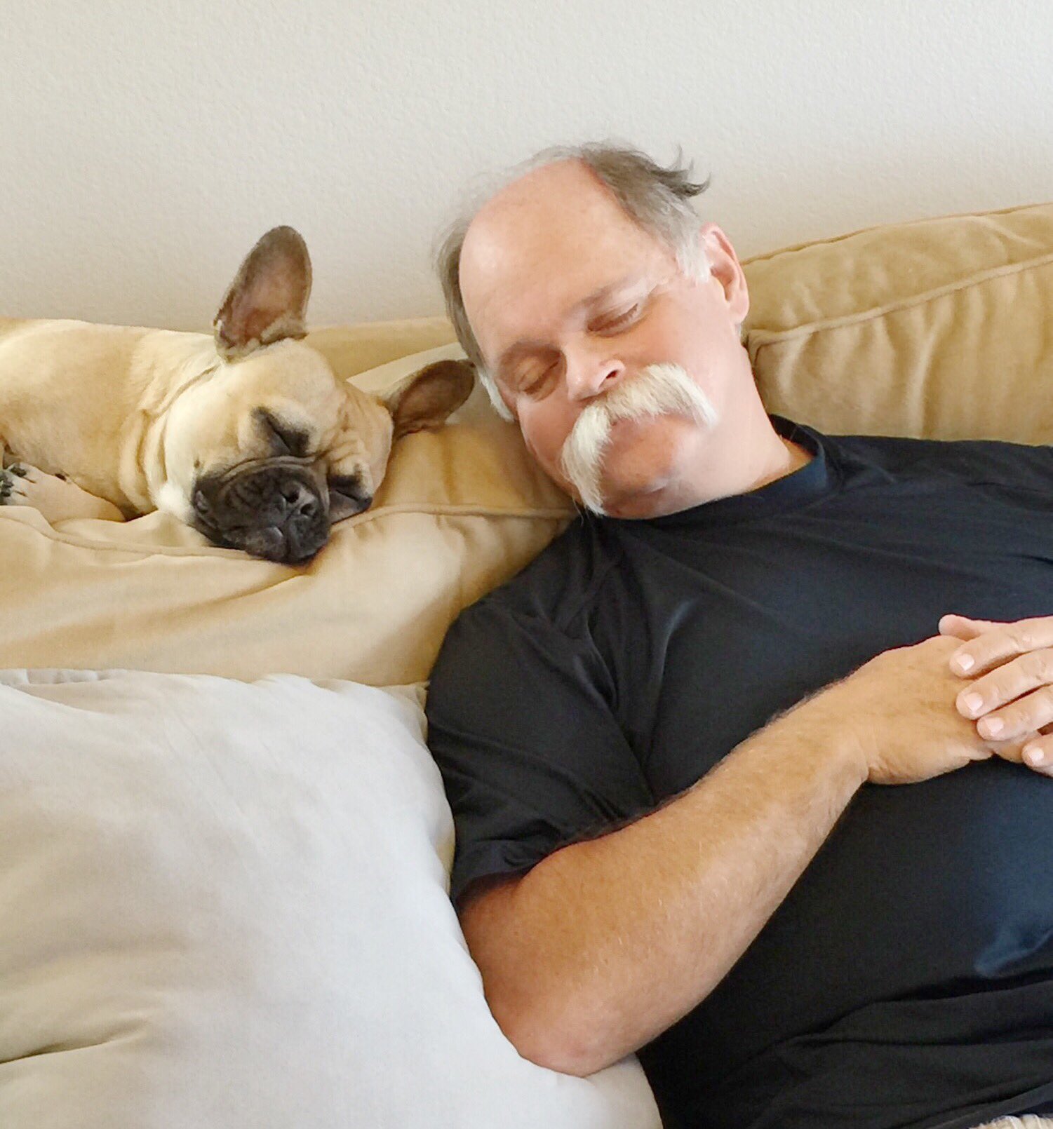 Rosanna Pansino on X This was too cute My dog Cookie and Papa Pizza taking a nap https t Dx5SKXKKoQ X