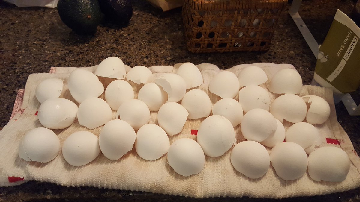 MissCoombe's tweet photo. 18 eggs sacrificed themselves for this creme brulee. #dessertdebates @millerr_claire @y_boocon98 @meganlindy98 https://t.co/IS3TLbpBBs