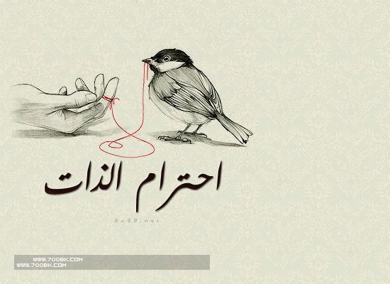 العقل لا يُقاس بالعمر..! فكم من صغير إذا تَكلم أنصت لهُ الكِبار وكم من كبير إذا تَكلم ضحك عليه الصِغار

# عجبتني