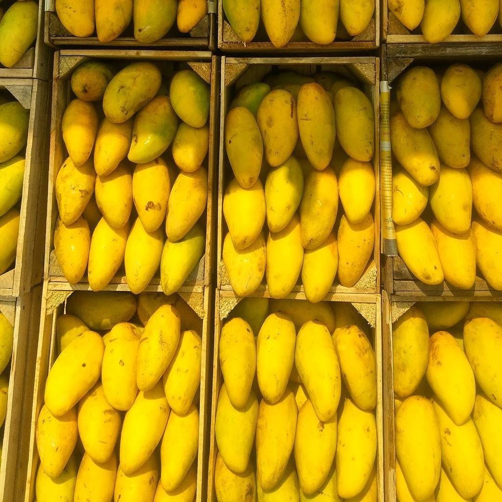 Adriani'sHealthyFood tweet media