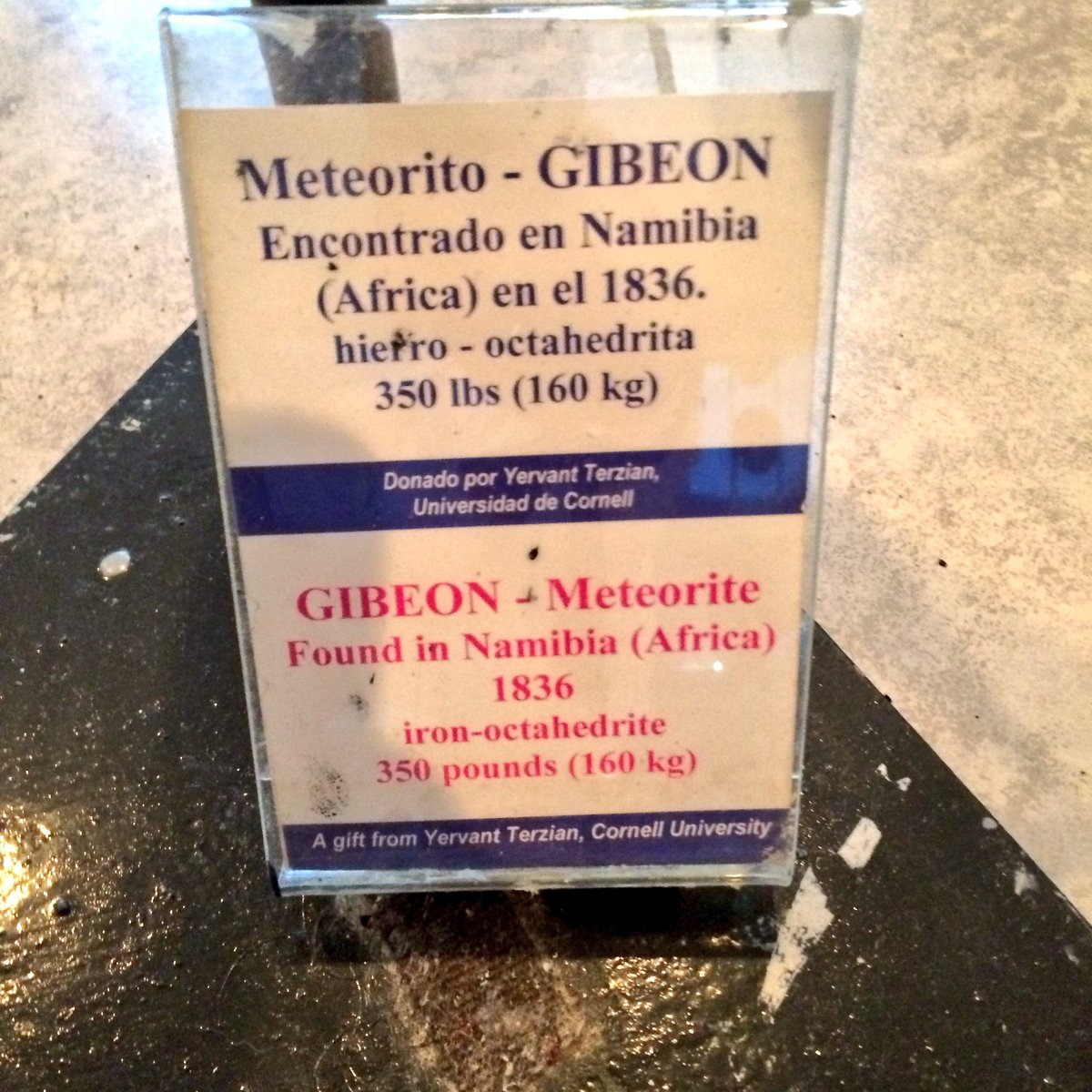 ISDC's tweet photo. Gibeon #meteorite in the visitor's center @NAICobservatory. #ISDC2016 https://t.co/lYtgUowitx
