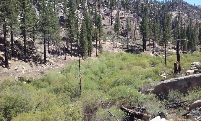 Hiking the pct earlier https://t.co/Kh6x4et5zc