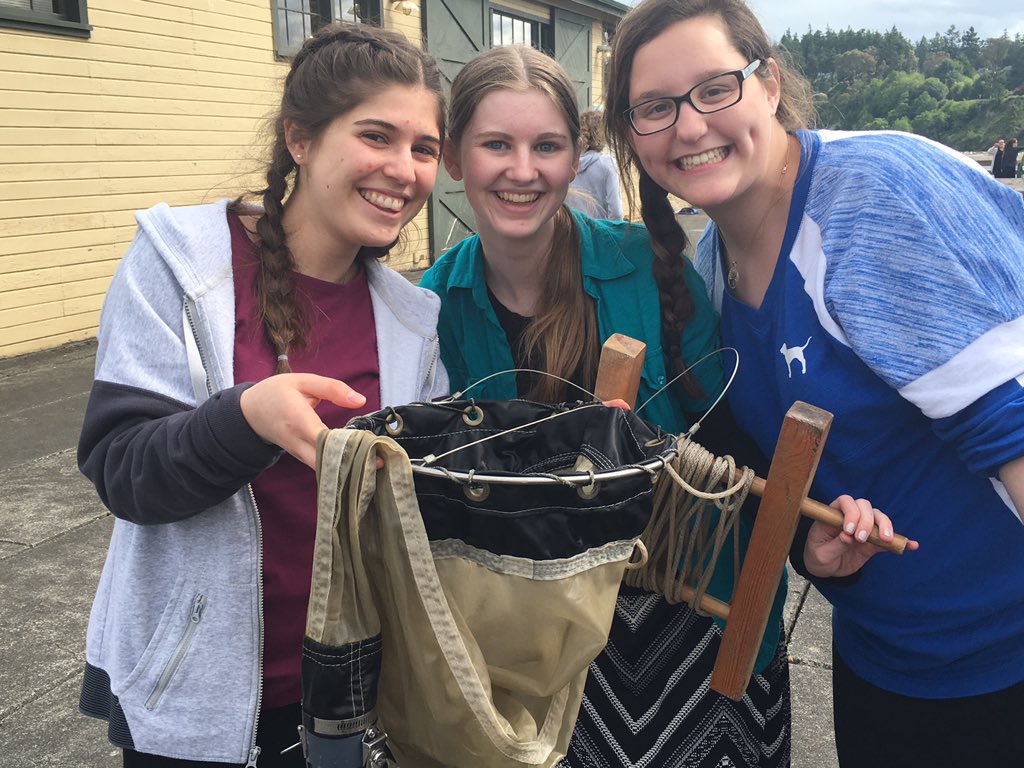 datcampus's tweet photo. Discovering the difference between zooplankton and phytoplankton, after taking our own samples. #immersion https://t.co/AmerhYwKCP