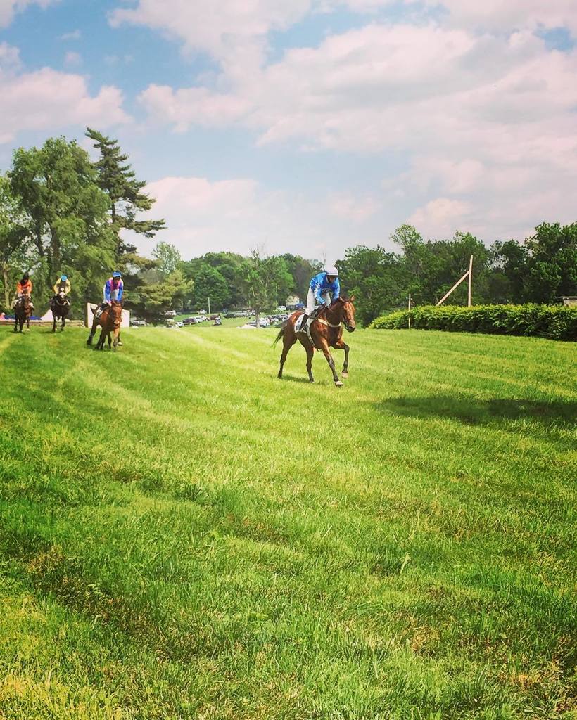 AmyBuchanan18's tweet photo. Perfect day at the #steeplechase #HighHopes #horse #equine #kentucky #travelky #exploreken… https://t.co/x6IZV1eqKn https://t.co/CyvNQGWWoA