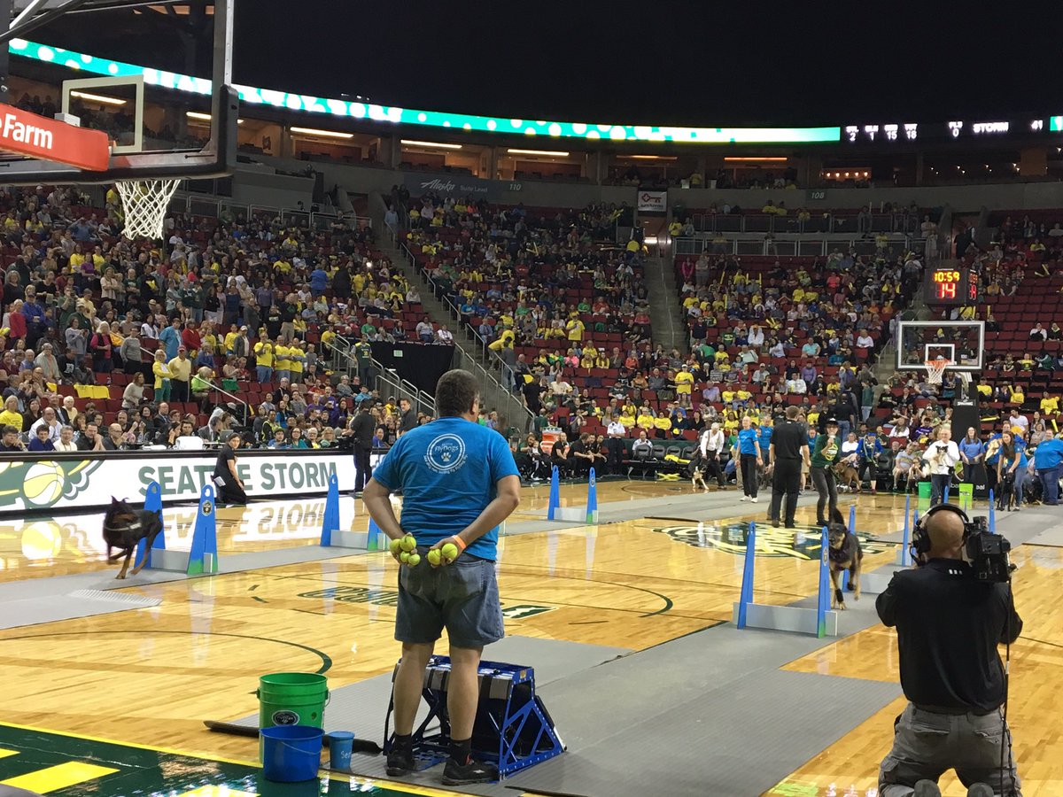 MichelleLudtka's tweet photo. And half time has gone to the dogs 🐶🐶🐶😂 #StormvsLynx #Q13FOX https://t.co/d9YdAhqOB1