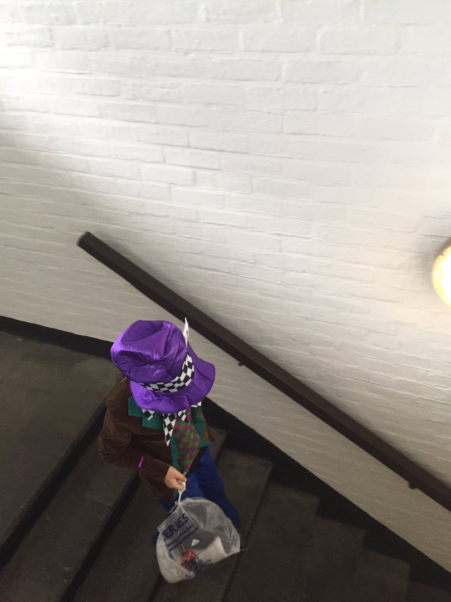 donnakerflani's tweet photo. A very shy Madhatter #bookday https://t.co/D20T94jmSJ