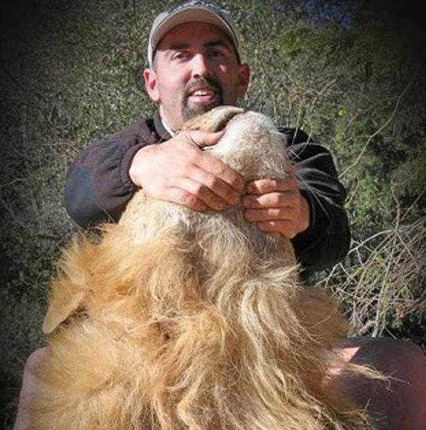 MelodyLGattenby's tweet photo. .@_AnimalAdvocate .@domdyer70 .@PeterEgan6 Plse sign #BanTrophyHunting #CleanUpConservation 
https://t.co/UdCW5YEJNl https://t.co/qGdEXIpC4k