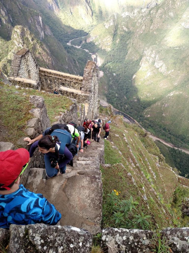 Tripadvisor's tweet image. Luxury train? Hike? How will you experience Machu Picchu, the top #TravelersChoice landmark? tripadv.sr/25gGH9U