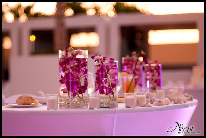 SweetTreatEvent's tweet photo. Intimate #wedding planned at @WFtLauderdale .Great example how #uplighting can transform #event. #SweetTreatEvents https://t.co/5zLz6ByJYX