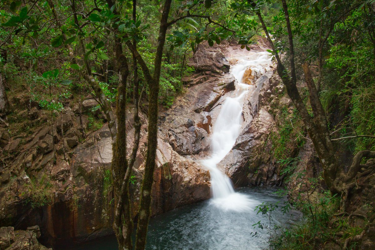yTravelBlog's tweet photo. Pretty...Araluen Cascades in Finch Hatton Gorge, Mackay. @Queensland @VisitMackay #SeeAustralia #thisisqueensland https://t.co/vWDJIi7XkA