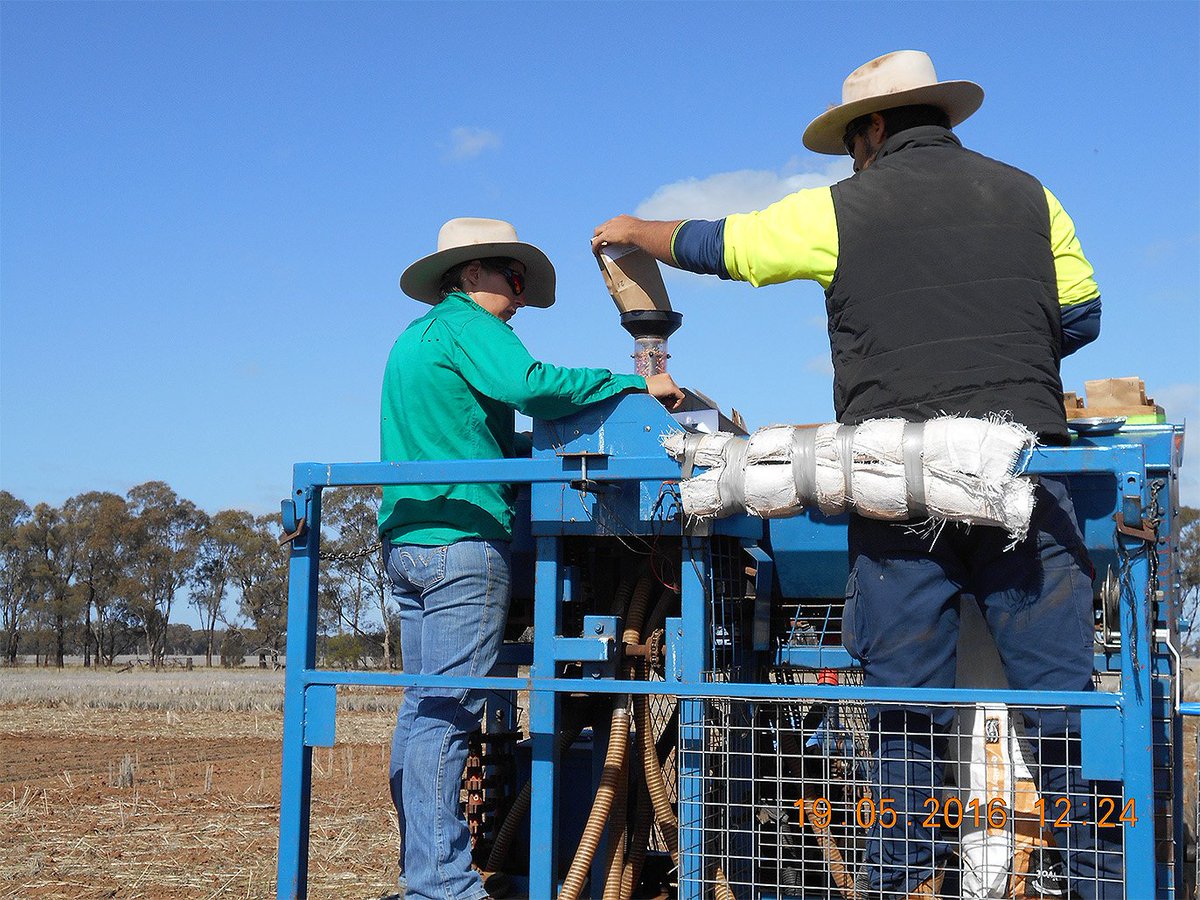 CWFS_Condo's tweet photo. Sowing at Tullamore stubble trial site 19 May 2016. @theGRDC @nicmcm89 #CWFSstubble #plant16 https://t.co/eBjdG5JG44