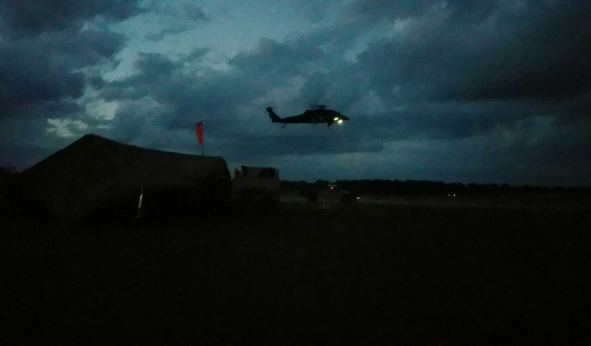 This shit is for the birds