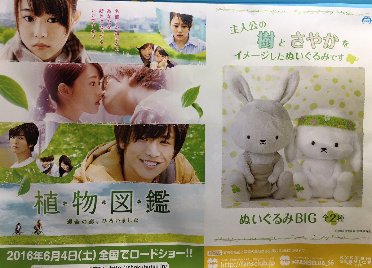 ドラマ八王子高倉店 على تويتر 植物図鑑 いよいよ6 4 土 映画公開の 植 物 図 鑑 から樹とさやかをイメージしたぬいぐるみが当店ufoキャッチャーに登場していますのでぜひチャレンジしてみてね 八王子 ゲーセン 植物図鑑 プライズ 岩田剛典 T