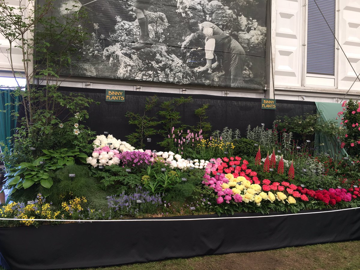 The #RHSChelsea judges have just been round at our <a href="/Binnyplants/">Binny Plants</a> display. Fingers-crossed!