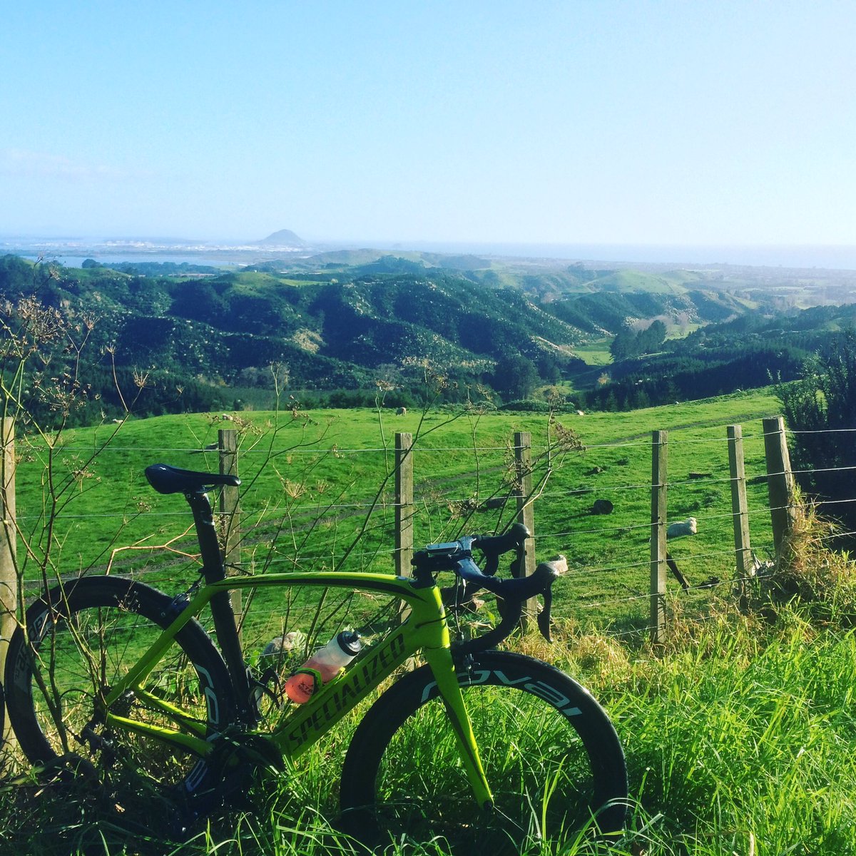 Hayden_Wilde tweet media