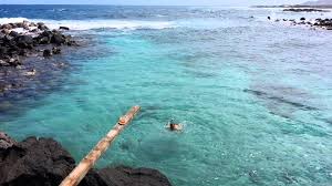HuntLia's tweet photo. We keep this quiet amongst locals, PM for location! Mahalo for the aloha!
@RobertKirkman @TheWalkingDead @Skybound https://t.co/TALWUh7gRn