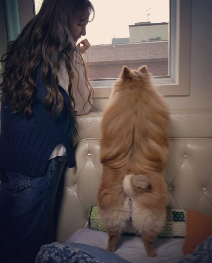 2laddo's tweet photo. 현아랑 아랑이&amp;로또 🐶❤ https://t.co/GhrdsR8URy