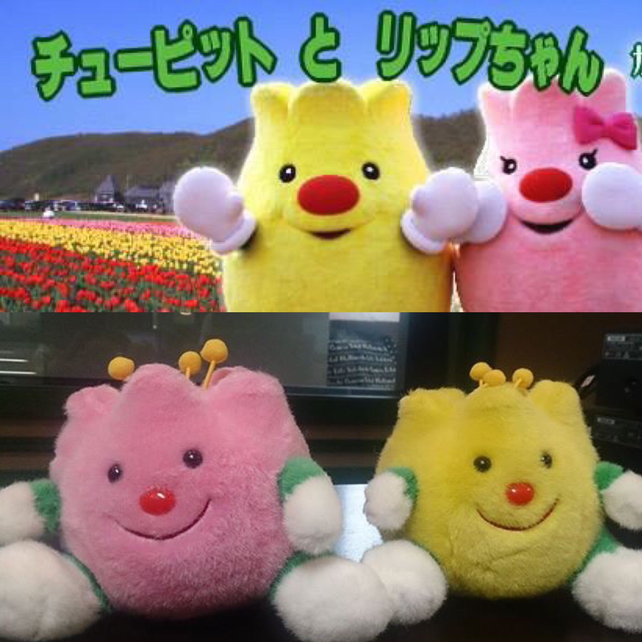 ベストセラー チューピット 上湧別町 ぬいぐるみ チューリップ ぬいぐるみ
