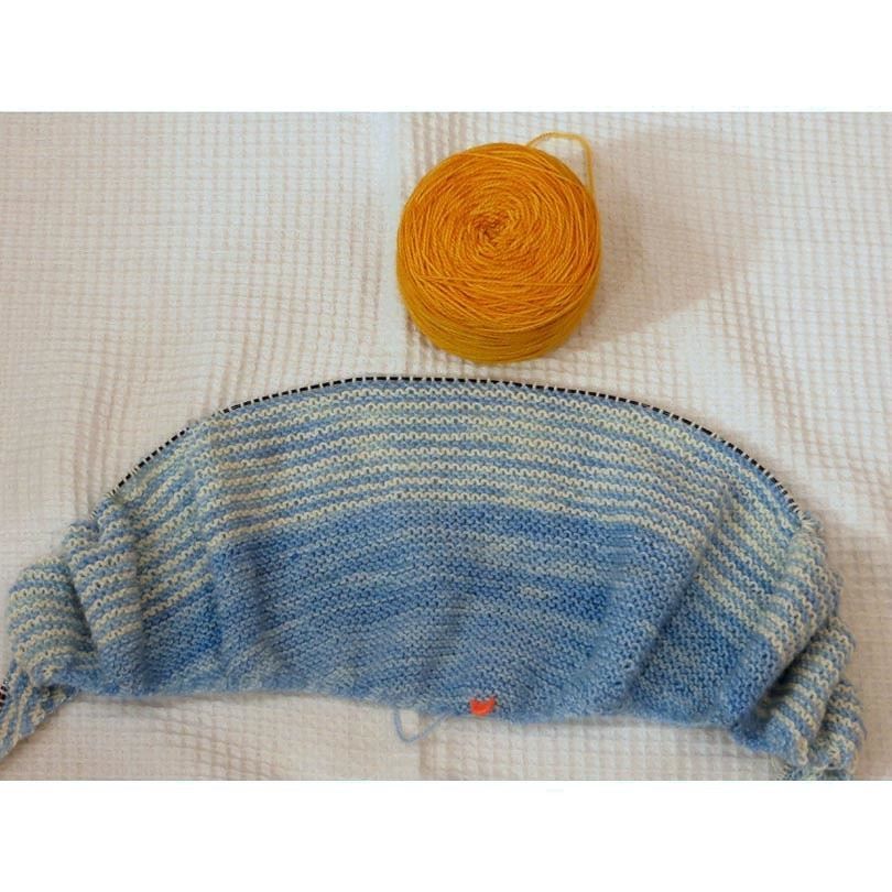 eda00's tweet photo. Color Affection
色を悩みましたが、水色 白、山吹色で編みます。
#coloraffection #knitting #編物 https://t.co/583Th8o2iM