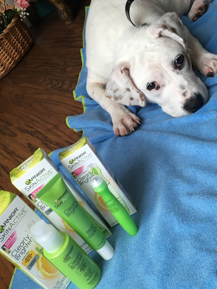 Sassygalshops's tweet photo. #GarnierSkinActive for dog lovers who love their dog & their skin. #SunFun #ActiveIsBetter #GarnierCrowd #sponsored https://t.co/YXq8jPuaEc