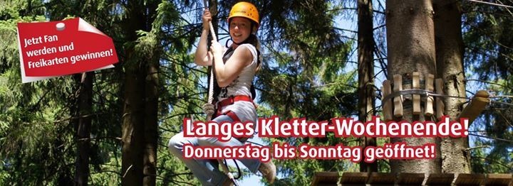 TreeRock (@treerocksolling) on Twitter photo 