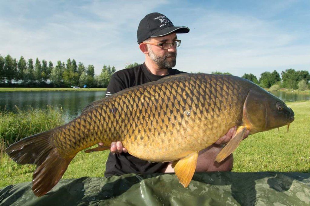 FtNovara's tweet photo. Un'altra bella cattura.#lago no-kill #Fipsas Novara https://t.co/Xcu0BNNWOi