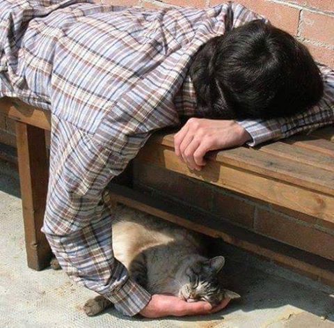 voxpoptr's tweet photo. Bir güzellik yap kendine,
Sadece sahip olduklarını düşün,
Mutlu ol onlarla.
/ Paul Auster https://t.co/pcuqzl4o4s