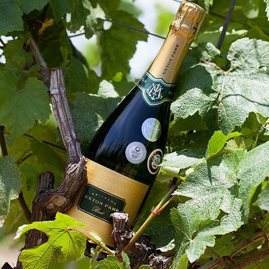 PremiumUKWines's tweet photo. Visit the beautiful @ExtonVineyard collection at: https://t.co/RibNpXNlYr. 
Hampshire based &amp; multiple award winners https://t.co/spmsGRcQc3