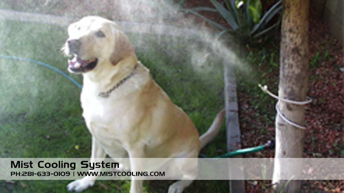 Mistcooling Misting Systems - Keep Pet Dog Cool in Summer - goo.gl/FmtYaG #petcooling #dogcooling #cooldog