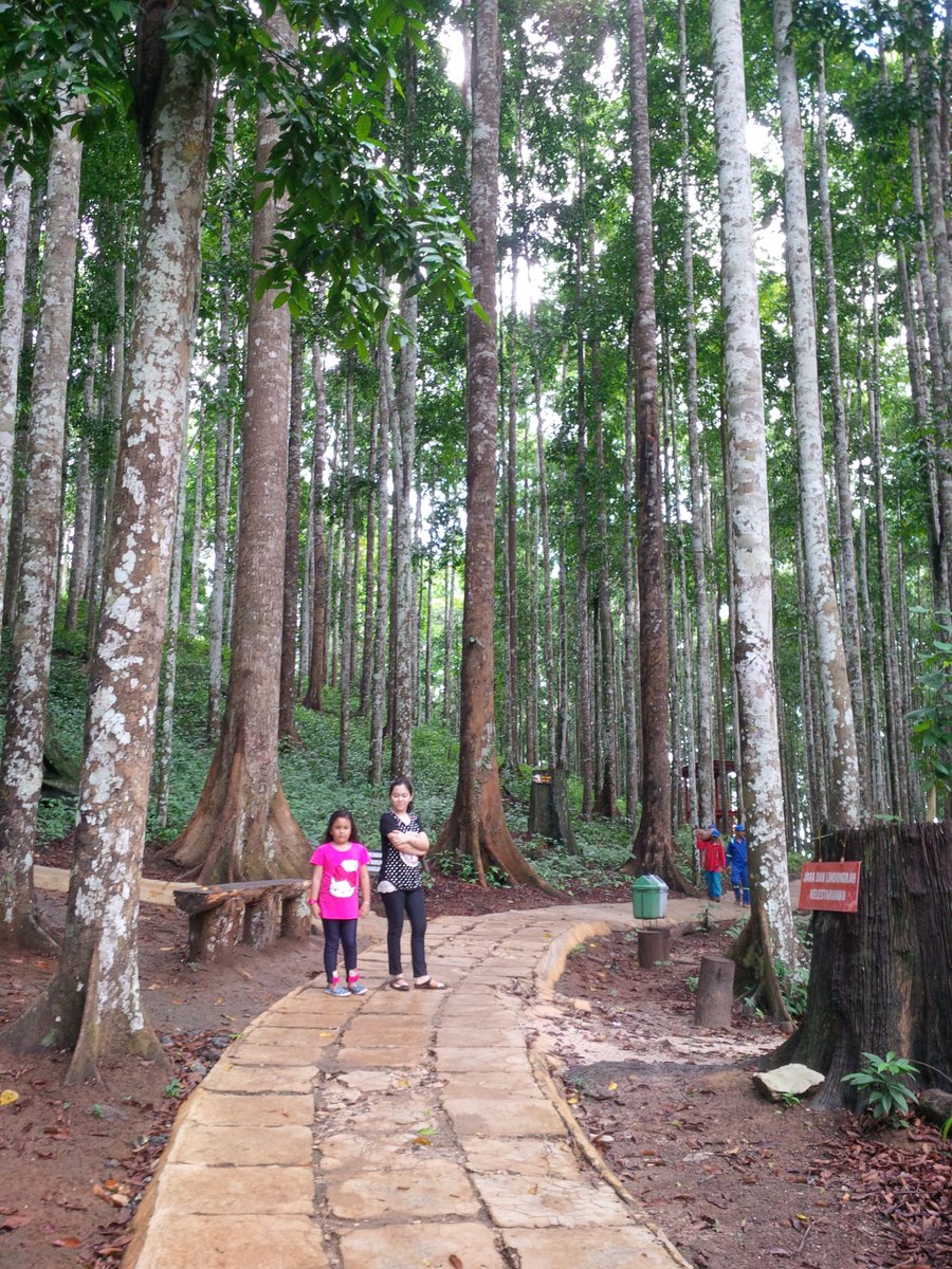 Ŧitгץ tweet media