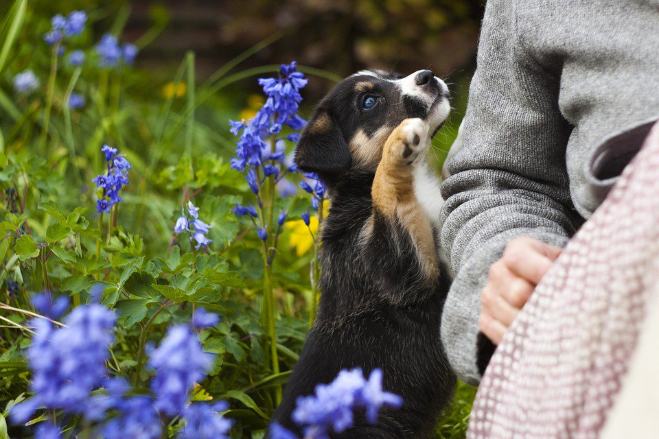 Others need your #love
Give it freely. openly &amp; without limits.

#JoyTrain
#IAmChoosingLove