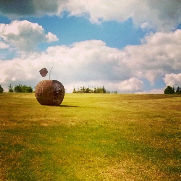 Vu oranzerija Vu oranzerija