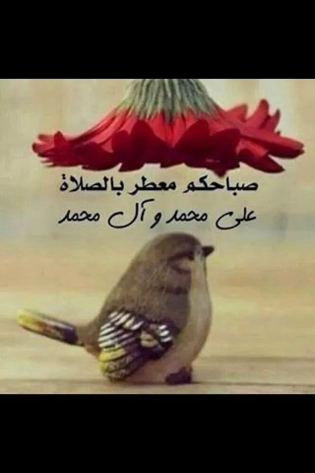 صباح الخير لجميع 
انا مريضة و ما رح اقدر ادخل تويتر لعدة ايام 
بتمنالكن ايام حلوه