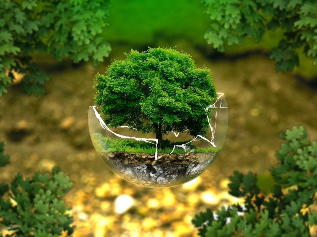 SSE Initiative 🇺🇳 (@sseinitiative) on Twitter photo Hong Kong council to issue #green finance proposals next week | DailyTimes go.shr.lc/1OIoN2N <a href="/DailyTimes_DT/">Clifford D. Hosford</a> Hong Kong council to issue #green finance proposals next week | DailyTimes go.shr.lc/1OIoN2N <a href="/DailyTimes_DT/">Clifford D. Hosford</a>