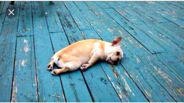 FITbyMaggieD's tweet photo. When your boy wakes you up at 05:50 on a Monday morning!🙉🙈 https://t.co/bqHIUpJeEQ