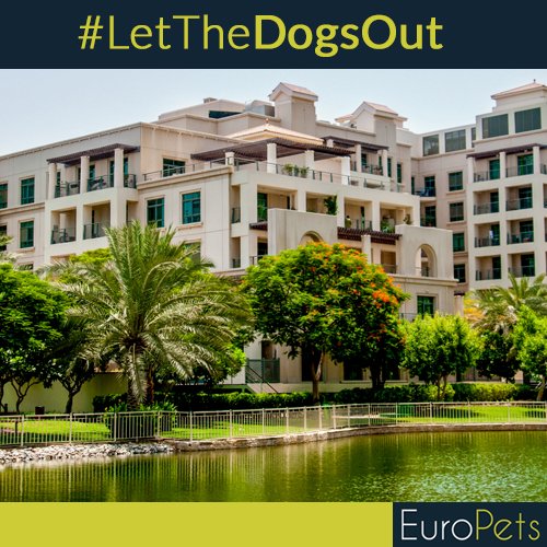 MyEuroPets's tweet photo. #LetTheDogsOut The Greens is one of Dubai’s popular  area with  walk ways round parks and lakes to walk your dog. https://t.co/gLSLCWyDYQ