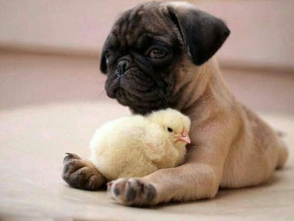 onsabiting's tweet image. 