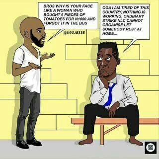 MuhibDauda tweet picture