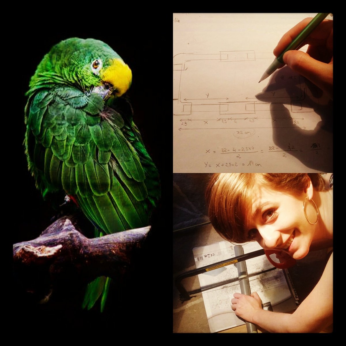 drnacophile's tweet photo. En mode manuel... Une idée les zamis ? #diy #perroquet #guesswhat  #diyforpets https://t.co/hhJFPUaFOZ