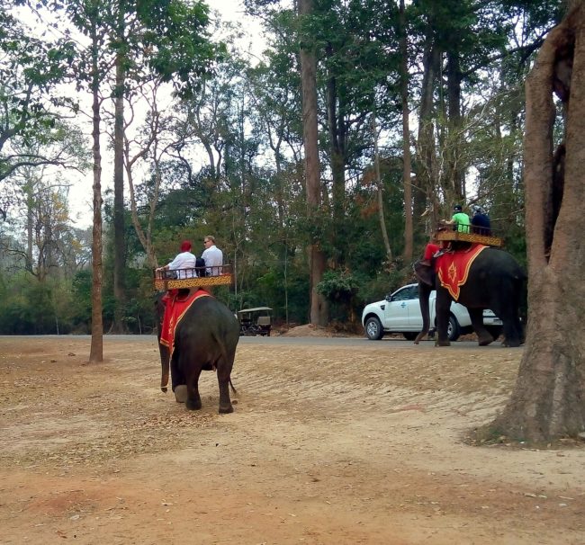 Claudioula's tweet image. Don't ride that elephant: the truth about the use of animals in tourist attractions &amp;gt;&amp;gt; buff.ly/1TsArRk #TTOT