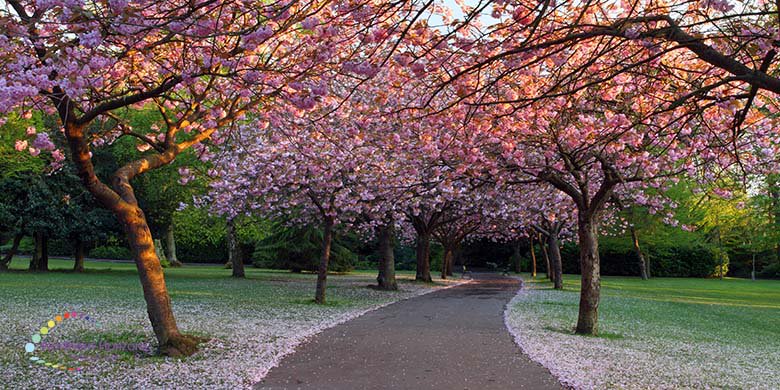 Andrew Whitaker tweet media