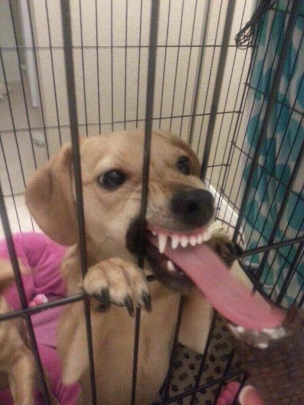 StumblerTop's tweet image. when ur front row @ a concert but there's a barricade