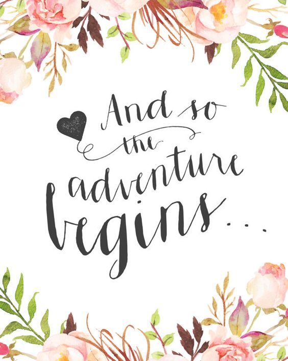 CindyCandry's tweet photo. https://t.co/F0HokrJPSS