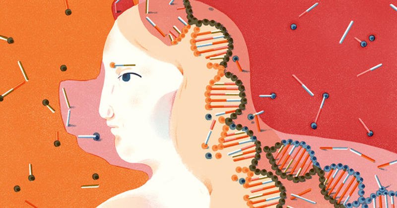 Hitekfr's tweet photo. Des scientifiques créent des embryons mi-humains mi-animaux ! https://t.co/4gvrWZwZjb https://t.co/1NgST4MBQ1