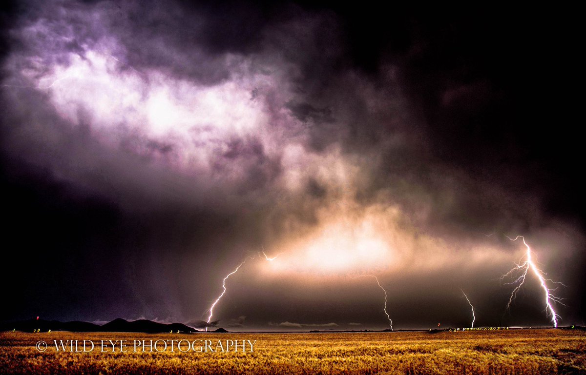 Emily Sutton tweet media