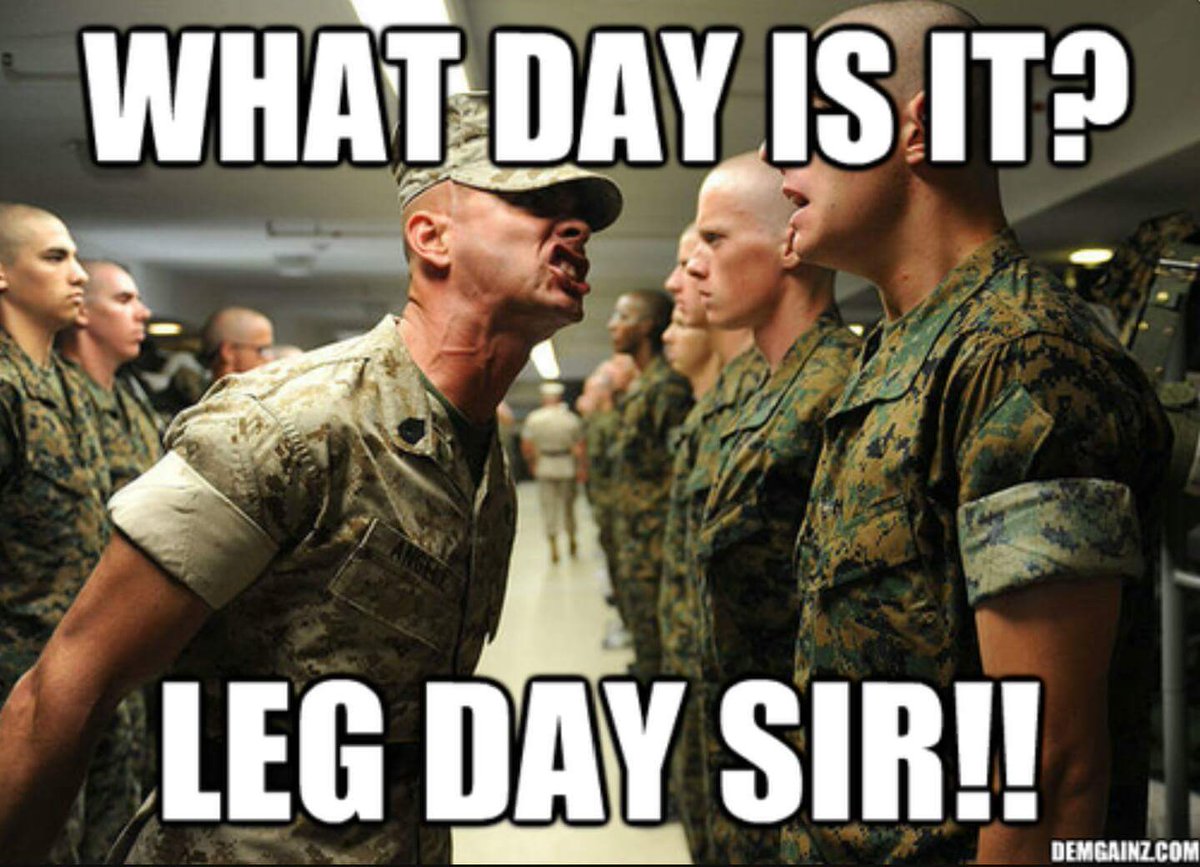 GymPrivee's tweet photo. Leg day we all know that pain! @HyperRTs @PulseRTs @ShoutRRTS #mondaymotivation #motivation #legday #BeastMode https://t.co/70BWEts4O6