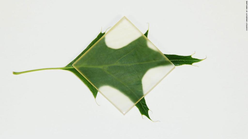 CNN's tweet photo. It's real. Scientists have created transparent wood -- and it could be stronger than steel https://t.co/u4lHGCBp8A https://t.co/zhVzqImptB