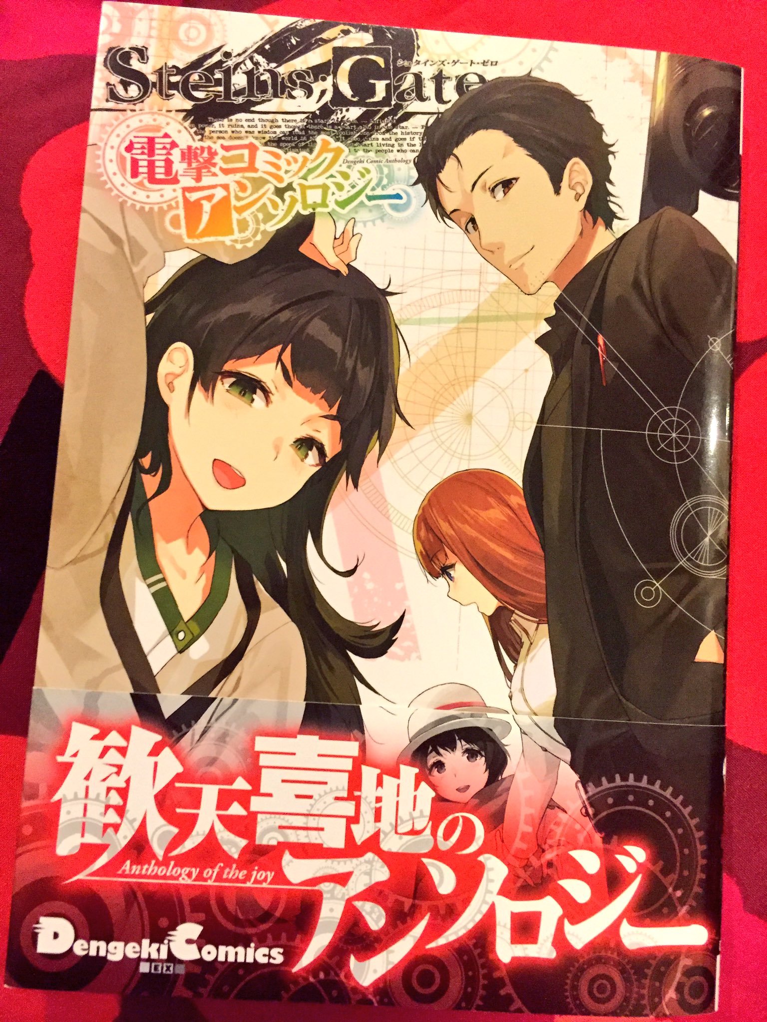 特製小冊子『STEINS;GATE公式ファンブック』非売品抽選200名