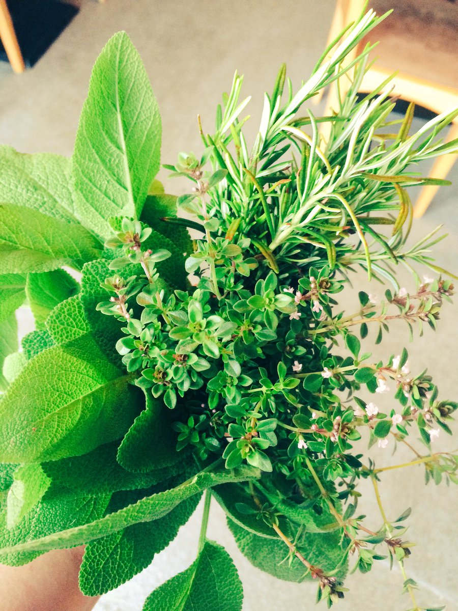 We are very proud to say, all our herbs and delicious salad leaves are all homegrown🍃 #homegrown #herbs #salad